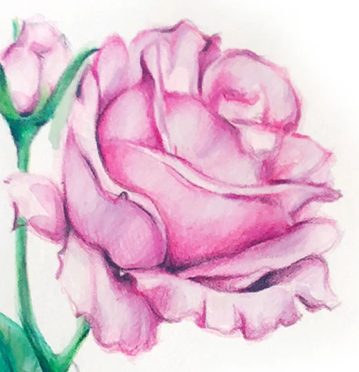 Nurture Nature Art Print- Rose Floral Flower Gouache Watercolor Inspirational Artwork / Illustration